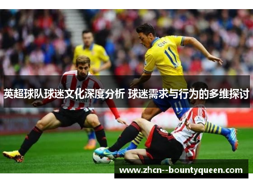 英超球队球迷文化深度分析 球迷需求与行为的多维探讨 英超球队球迷文化深度分析 球迷需求与行为的多维探讨