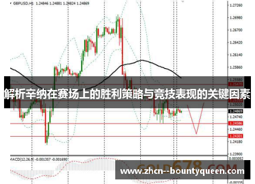 解析辛纳在赛场上的胜利策略与竞技表现的关键因素