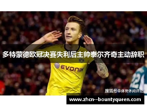 多特蒙德欧冠决赛失利后主帅泰尔齐奇主动辞职 多特蒙德欧冠决赛失利后主帅泰尔齐奇主动辞职
