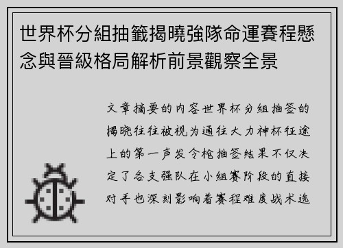 世界杯分組抽籤揭曉強隊命運賽程懸念與晉級格局解析前景觀察全景